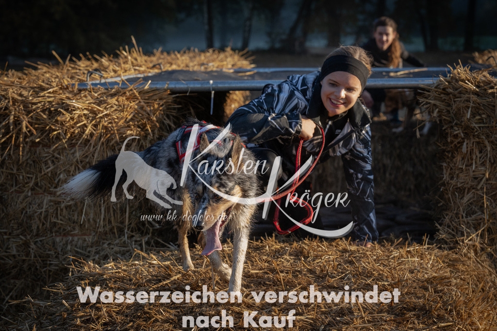 0919_ZZ92357 | kk-dogfotos