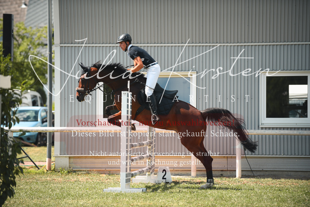 DSC_6629 | Pferde- und Turnierfotografie in Westsachsen. Pferdeportraits, Auftragszeichnungen und intuitive Kunst.