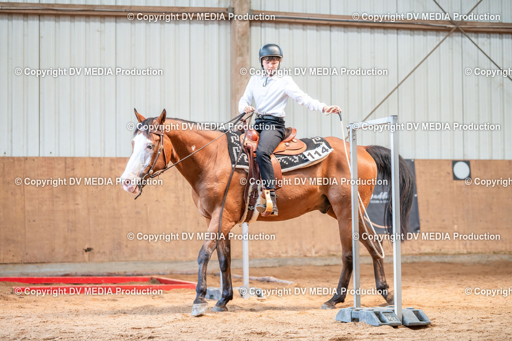 Neckargemünd Tag 2-412 | dv-media-shop - Realisiert mit Pictrs.com