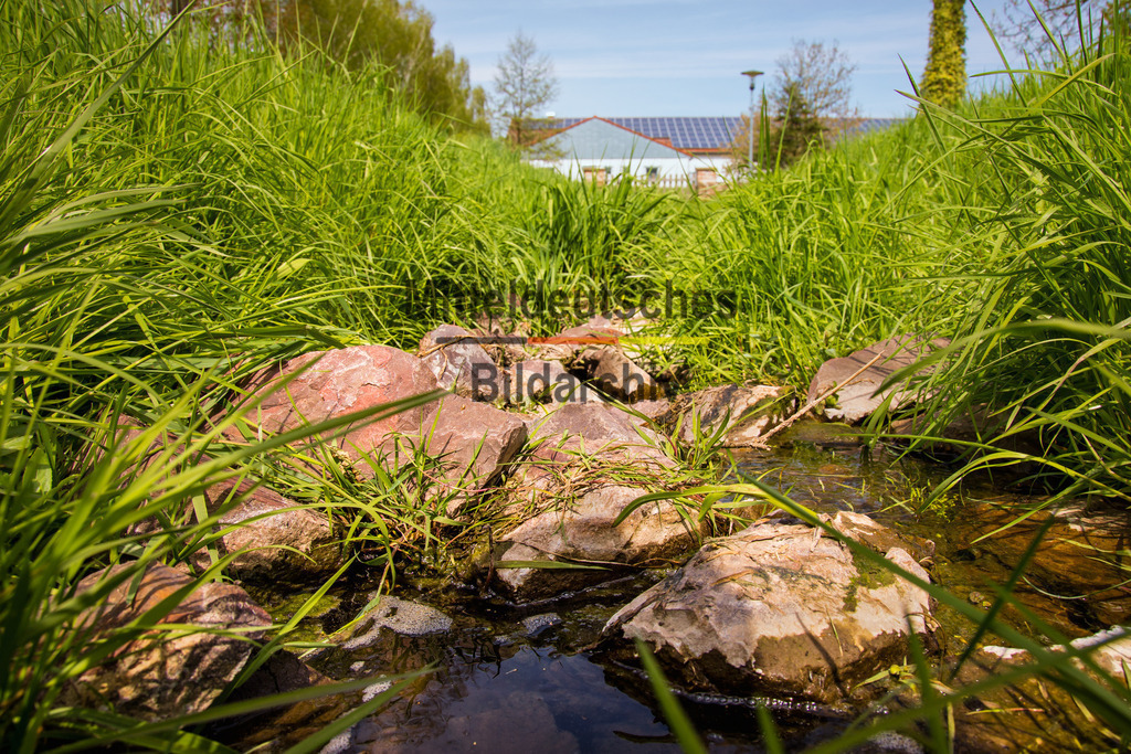 Eichenbarleben-2998 | Park Eichenbarleben - Realisiert mit Pictrs.com