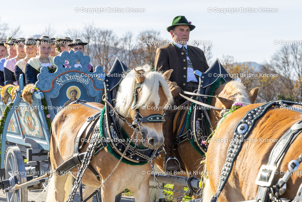 LBT24-1525 | foto-bettina-krinner - Realisiert mit Pictrs.com