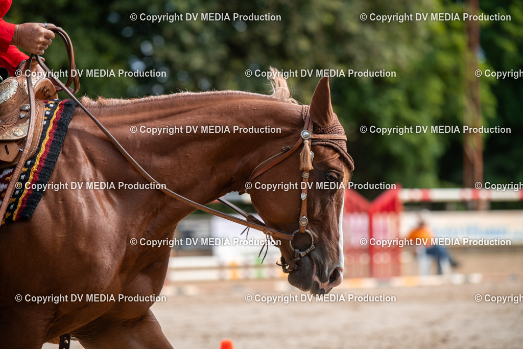 ZS3_9326 | dv-media-shop - Realisiert mit Pictrs.com