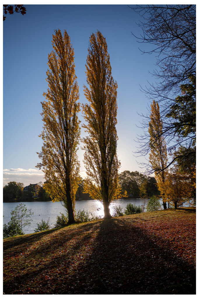 Potsdam (69) | hgt-foto