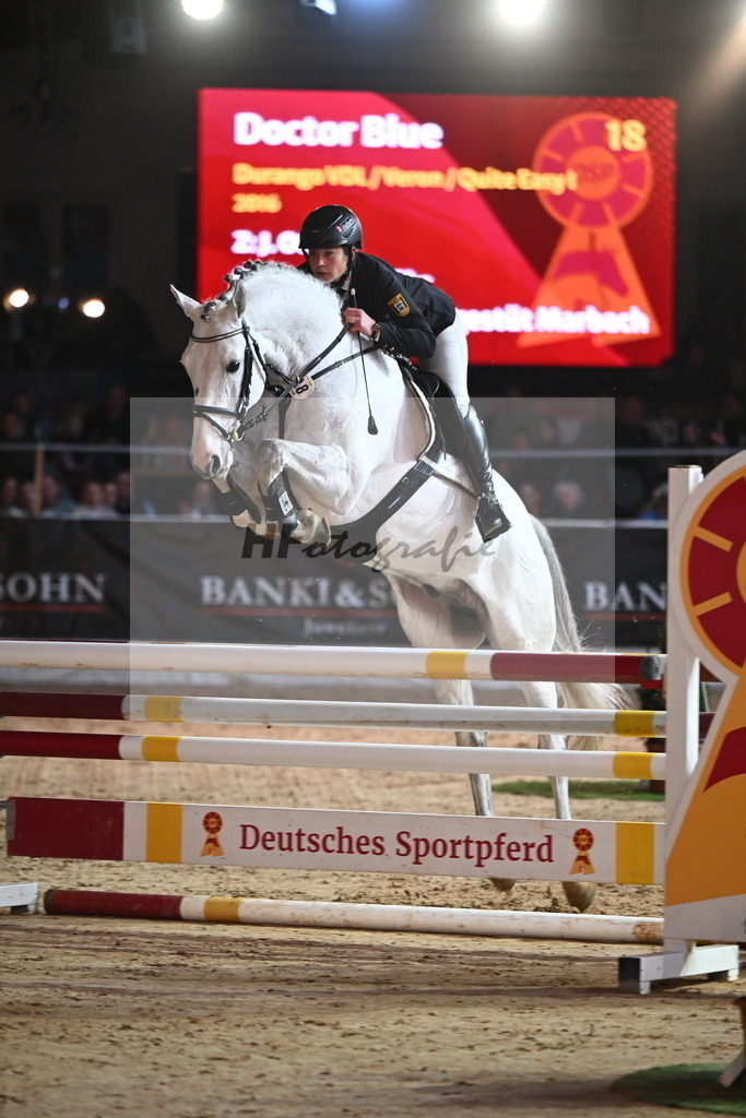 Doctor Blue_2241970 | hf-fotografie - Realisiert mit Pictrs.com