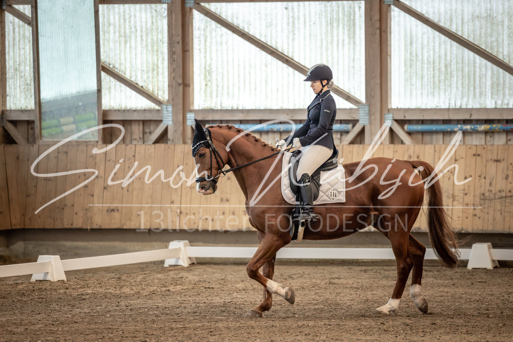20251011-_3LI5665 | Tierfotografie Pferde, Hunde, Katzen, Haustiere.
Turnierfotografie Reitturniere, Reiten, Springreiten, Dressur in Hanau, dem Main-Kinzig-Kreis und dem Rhein-Main- Gebiet um Frankfurt