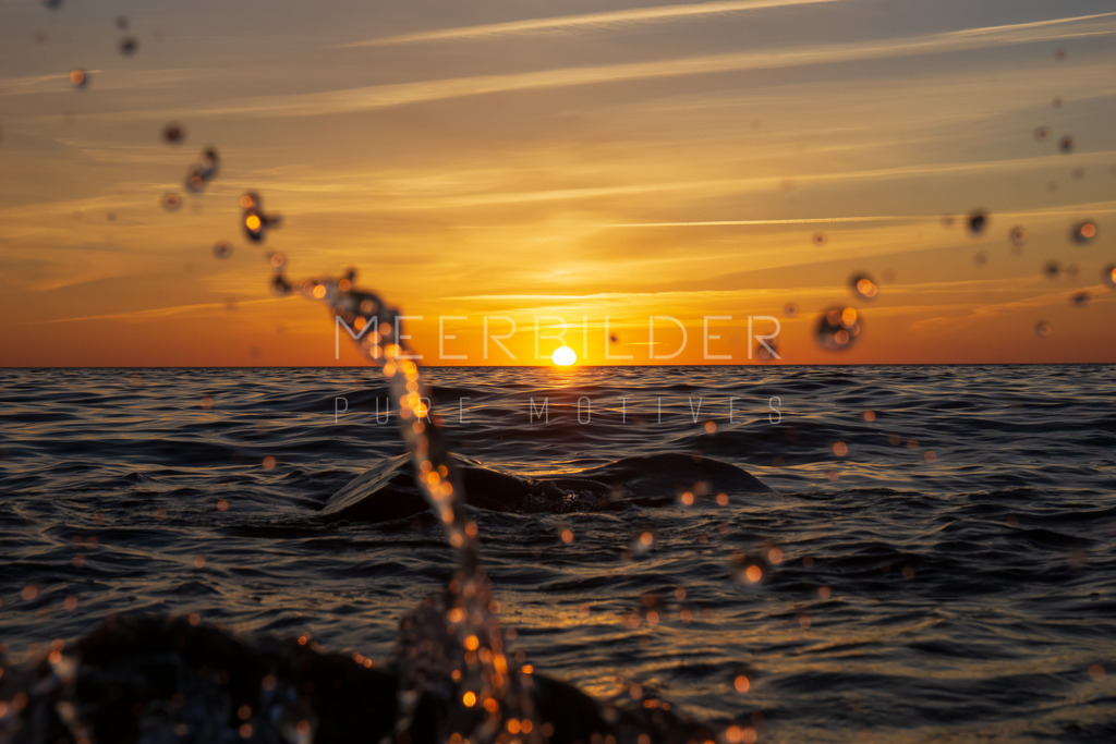 Fotoserie: Sunset & Splash // Sonnenuntergang am Meer  | Schließen Sie für einen Moment Ihre Augen und stellen Sie sich vor, wie die Sonne langsam am Horizont versinkt. Meine neue Serie “Sunset & Splash” lässt genau dieses Gefühl lebendig werden! Entdecken Sie die kraftvolle Verbindung zwischen Naturphänomenen und künstlerischer Fotografie – eine Einladung zur Ruhe und Besinnung auf das Wesentliche!