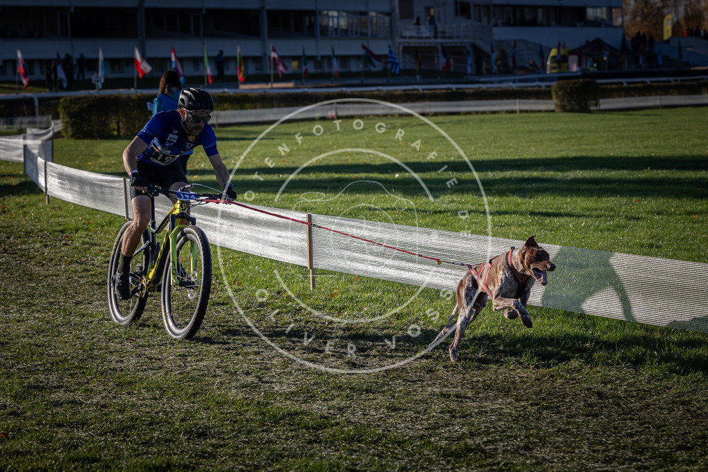 CaniXpix_0L8A4215 | Hundefotografie, Tierfotograf, Pfotenfotografie, Fotoshooting Hund, Hunde Portrait, Hundesport, Hundeportraits, Heideshooting, Hunde, Sportfotograf, Hundefotograf, Turnierhundsport, THS,  - Realisiert mit Pictrs.com