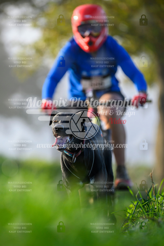 MompixPhotography_20TSB_E3_Bike-146 | PayLife