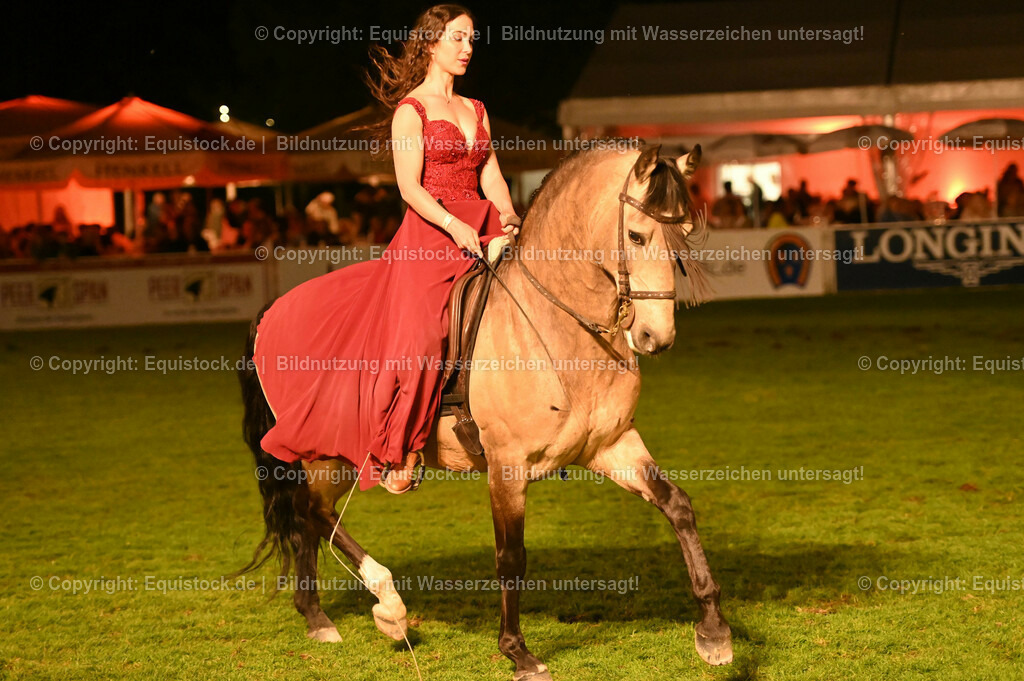 20230526_Pferdenacht_1374 | equistock