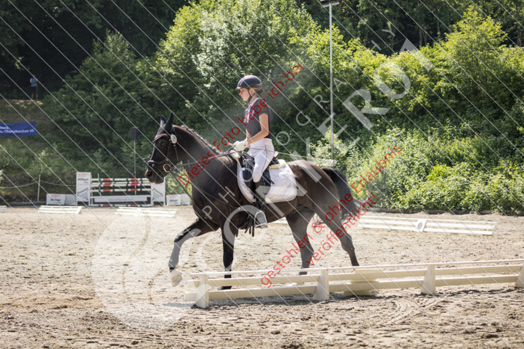 IMG_4544 | Sport-, Event- und Tierfotos in Profiqualität. Einfach auswählen, bestellen und herunterladen. Dein Moment – perfekt festgehalten.