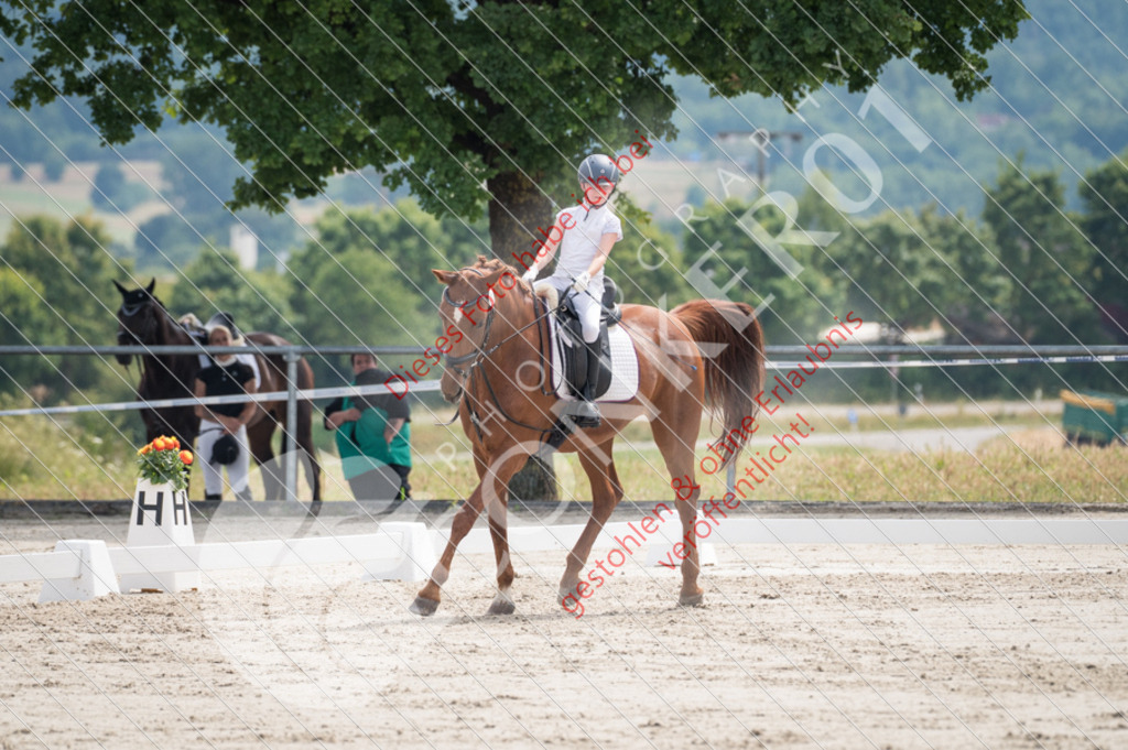 Z62_3580 | Sport-, Event- und Tierfotos in Profiqualität. Einfach auswählen, bestellen und herunterladen. Dein Moment – perfekt festgehalten.