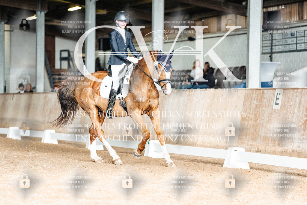 CK903285 | Turnierfotografie Pferdefotografie Trier Rheinland-Pfalz Pferdesport Reitsport Tierfotografie Sportfotografie Pferdevideo Pferdevideografie Equestrianvideography equestrianphotography  - Realisiert mit Pictrs.com
