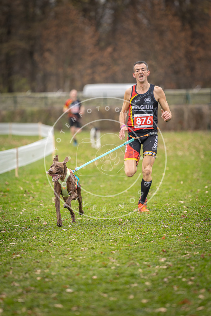 CaniXpix_DV3A6717 | Hundefotografie, Tierfotograf, Pfotenfotografie, Fotoshooting Hund, Hunde Portrait, Hundesport, Hundeportraits, Heideshooting, Hunde, Sportfotograf, Hundefotograf, Turnierhundsport, THS,  - Realisiert mit Pictrs.com