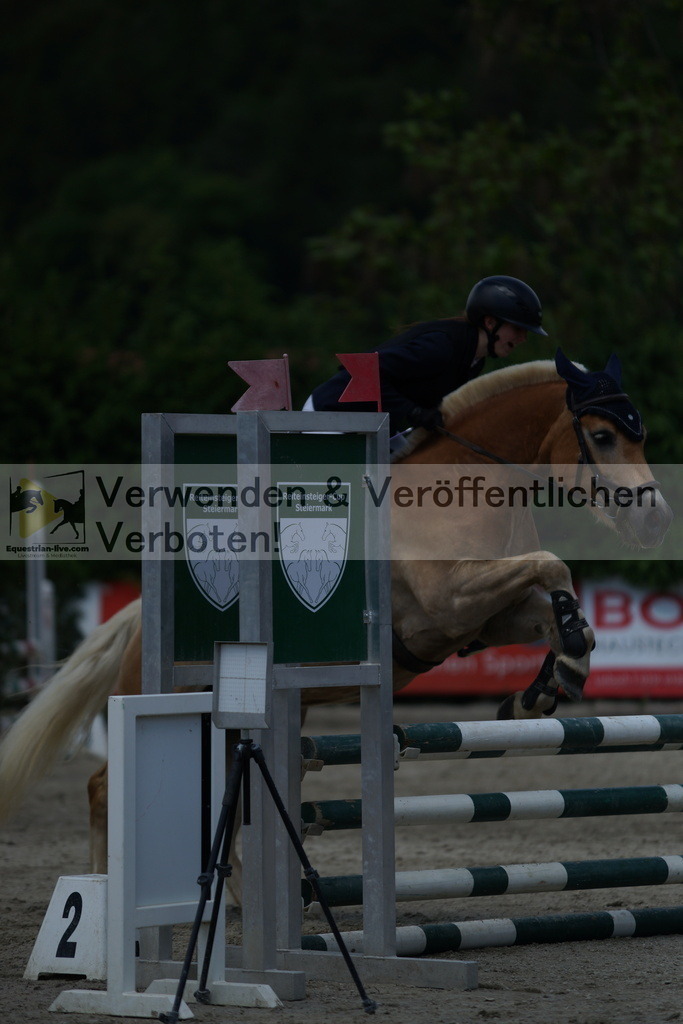 DSC06455 | equestrian-live-com