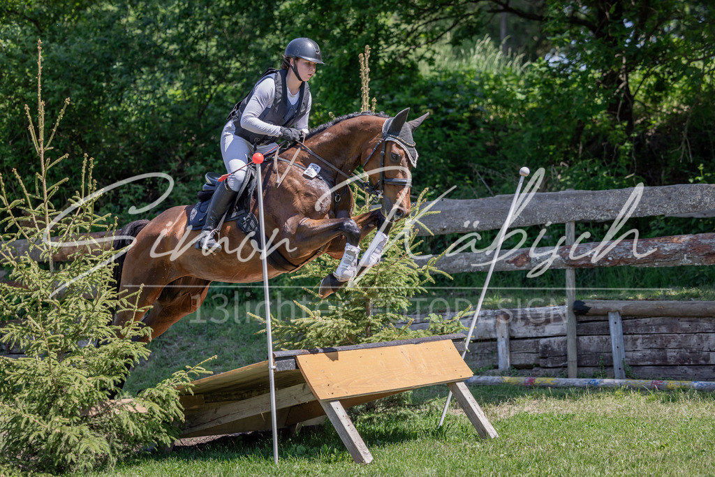 20260523-_3LI8191 | Tierfotografie Pferde, Hunde, Katzen, Haustiere.
Turnierfotografie Reitturniere, Reiten, Springreiten, Dressur in Hanau, dem Main-Kinzig-Kreis und dem Rhein-Main- Gebiet um Frankfurt