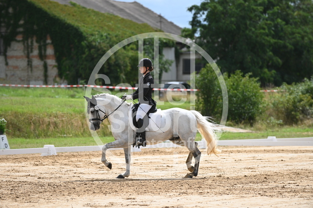 DSC_7567 | sattelsport - Realisiert mit Pictrs.com