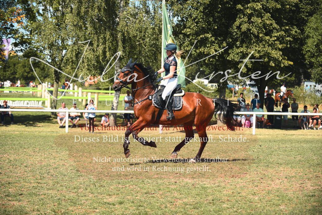 DSC_7045 | Pferde- und Turnierfotografie in Westsachsen. Pferdeportraits, Auftragszeichnungen und intuitive Kunst.
