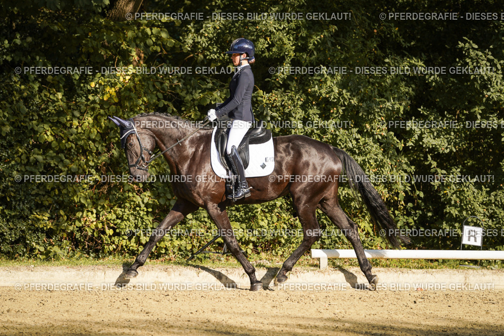 DSC06189 | Pferdegrafie