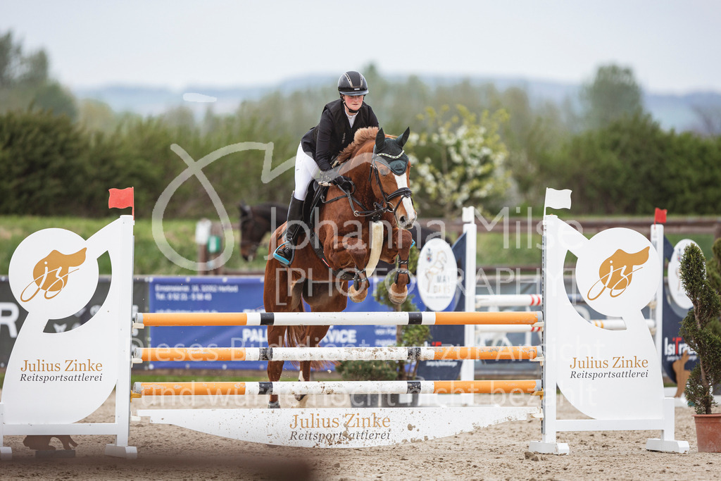 250417_Springpferde-L1-242 | Deine schönsten Turniermomente als professionelle Fotos! Entdecke hochwertige Pferdesport-Fotografie im Online-Shop. Jetzt Fotos finden & bestellen!