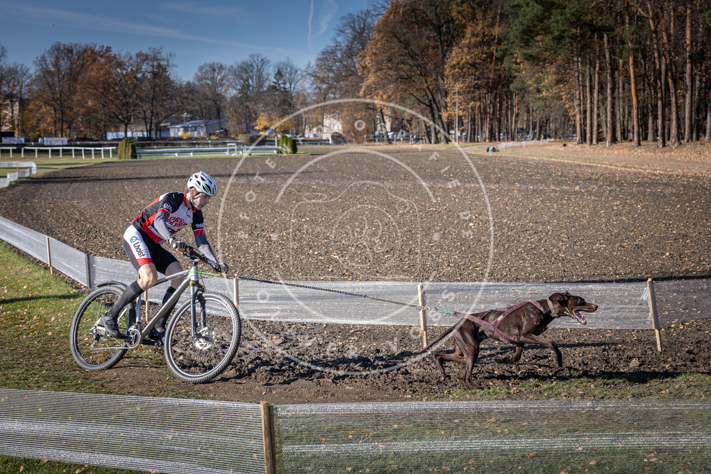 CaniXpix_DV3A7172 | Hundefotografie, Tierfotograf, Pfotenfotografie, Fotoshooting Hund, Hunde Portrait, Hundesport, Hundeportraits, Heideshooting, Hunde, Sportfotograf, Hundefotograf, Turnierhundsport, THS,  - Realisiert mit Pictrs.com
