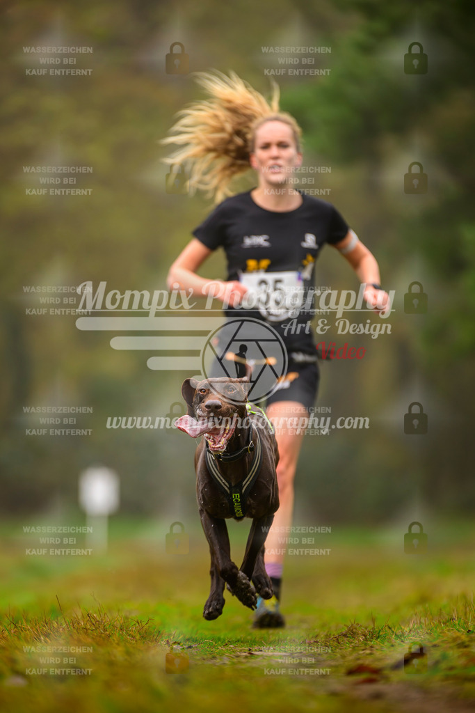 MompixPhotography_Bischwiller2025_Canicross-12 | mompixphotography