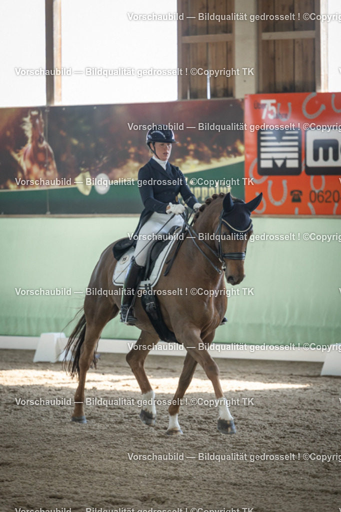 _D5A9655 | Emotionale Pferde- & People-Fotografie rund um Heidelberg, Leimen & Umgebung. Natürliche Fotos von Pferd, Mensch & Familie. Jetzt Termin sichern!