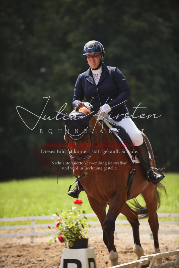 DSC_0850 | Pferde- und Turnierfotografie in Westsachsen. Pferdeportraits, Auftragszeichnungen und intuitive Kunst.
