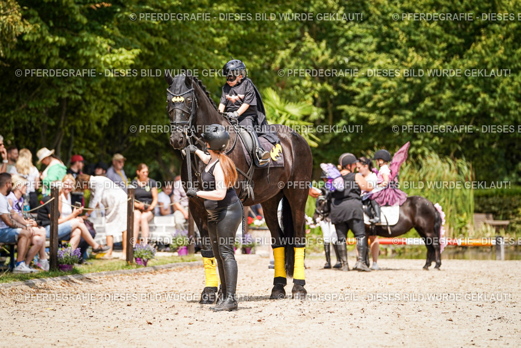 DSC02957 | Pferdegrafie