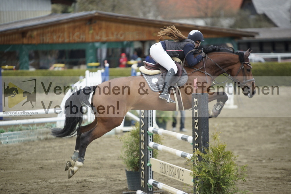_DSC7391 | equestrian-live-com