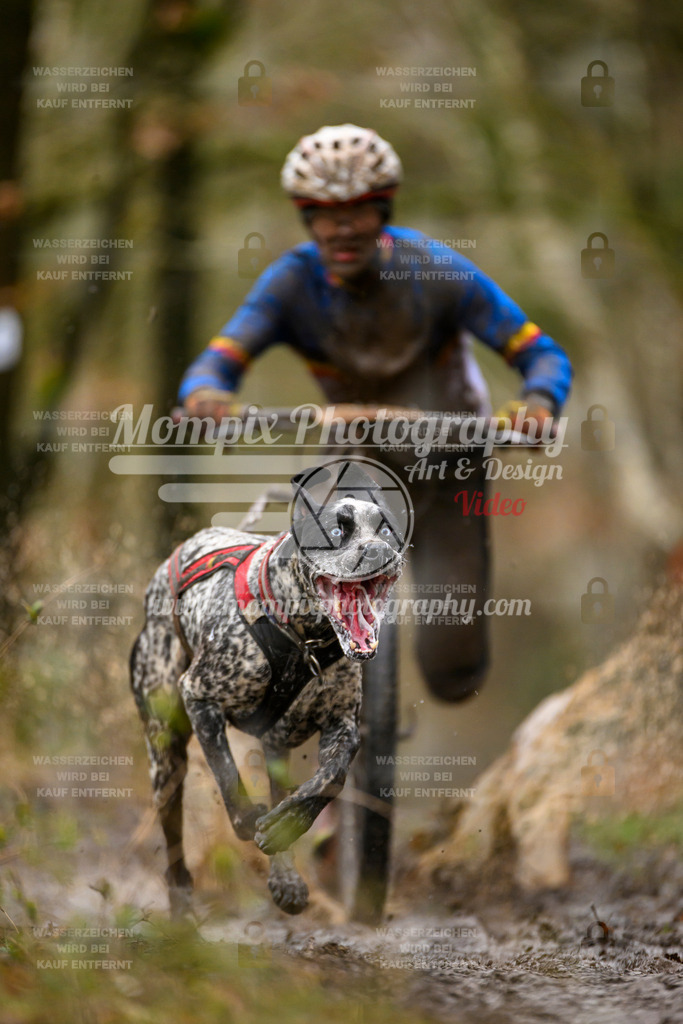 MompixPhotography_CDSM24_SA_DS1-6 | mompixphotography