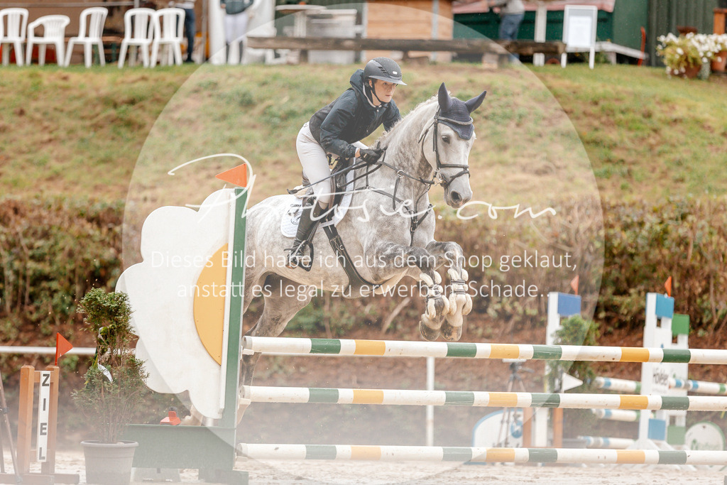 3I6A5930 | Stimmungsvolle Portraits und Reitsportfotografie im Ruhrgebiet und im Münsterland.

Pferdefotografie, Hundefotografie, Tierfotografie, Reportagen, Portraits von Tier und Mensch, Turnierfotografie in Bochum, Recklinghausen, Marl, Haltern am See, Dülmen.. - Realisiert mit Pictrs.com