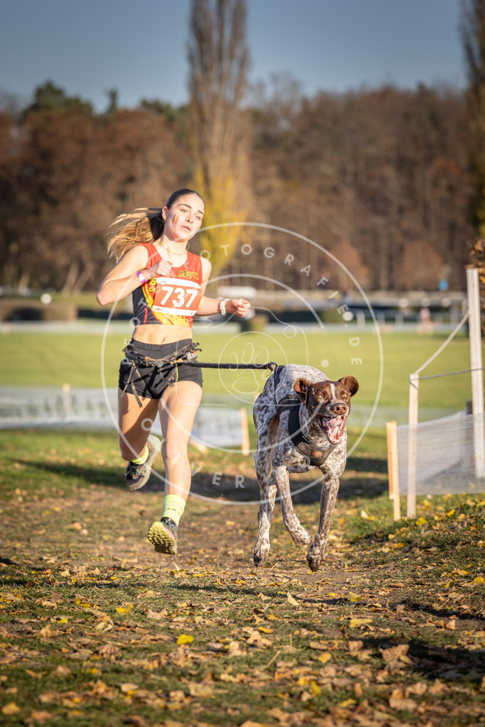 CaniXpix_DV3A2158 | Hundefotografie, Tierfotograf, Pfotenfotografie, Fotoshooting Hund, Hunde Portrait, Hundesport, Hundeportraits, Heideshooting, Hunde, Sportfotograf, Hundefotograf, Turnierhundsport, THS,  - Realisiert mit Pictrs.com