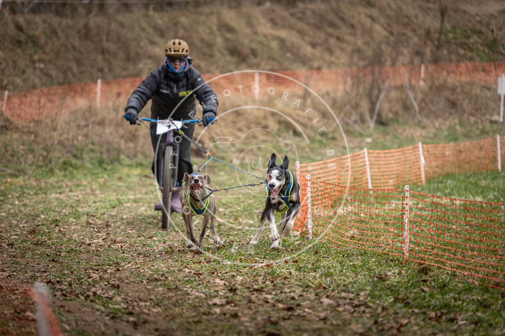 Pfotenfotografie_DV3A6636 | Hundefotografie, Tierfotograf, Pfotenfotografie, Fotoshooting Hund, Hunde Portrait, Hundesport, Hundeportraits, Heideshooting, Hunde, Sportfotograf, Hundefotograf, Turnierhundsport, THS,  - Realisiert mit Pictrs.com