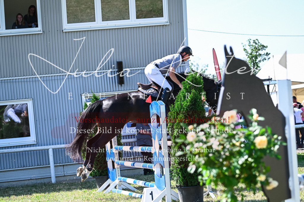 DSC_1415 | Pferde- und Turnierfotografie in Westsachsen. Pferdeportraits, Auftragszeichnungen und intuitive Kunst.