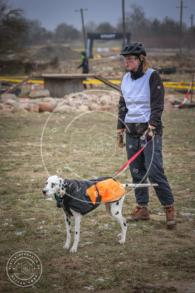 Pfotenfotografie_0L8A2181 | Hundefotografie, Tierfotograf, Pfotenfotografie, Fotoshooting Hund, Hunde Portrait, Hundesport, Hundeportraits, Heideshooting, Hunde, Sportfotograf, Hundefotograf, Turnierhundsport, THS,  - Realisiert mit Pictrs.com