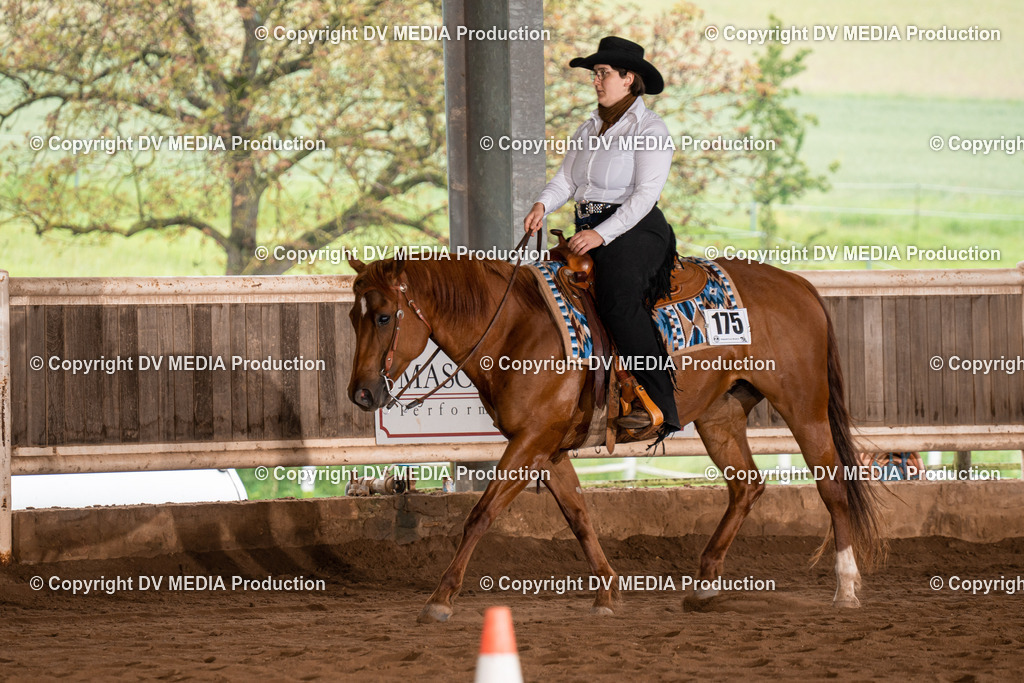 Erbach Tag 3-265 | dv-media-shop - Realisiert mit Pictrs.com