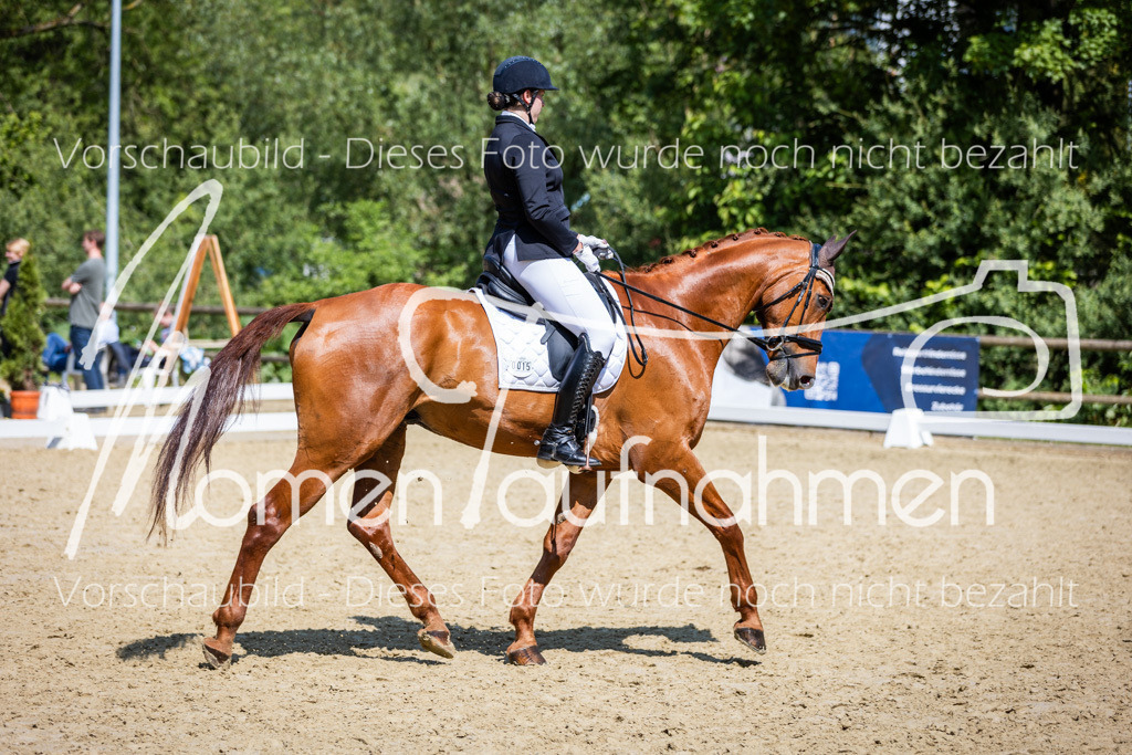 Donop24-L-Dre-065 | MomenTaufnahmen Pferdesportfotos