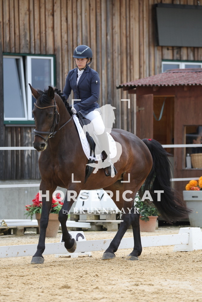 0P6A8561 | Willkommen bei Brunnmayr - Design & Fotografie – Ihrem Spezialisten für Reitturniere und Pferdeveranstaltungen in Oberösterreich, Salzburg und Bayern! Seit über 17 Jahren sind wir leidenschaftlich dabei.