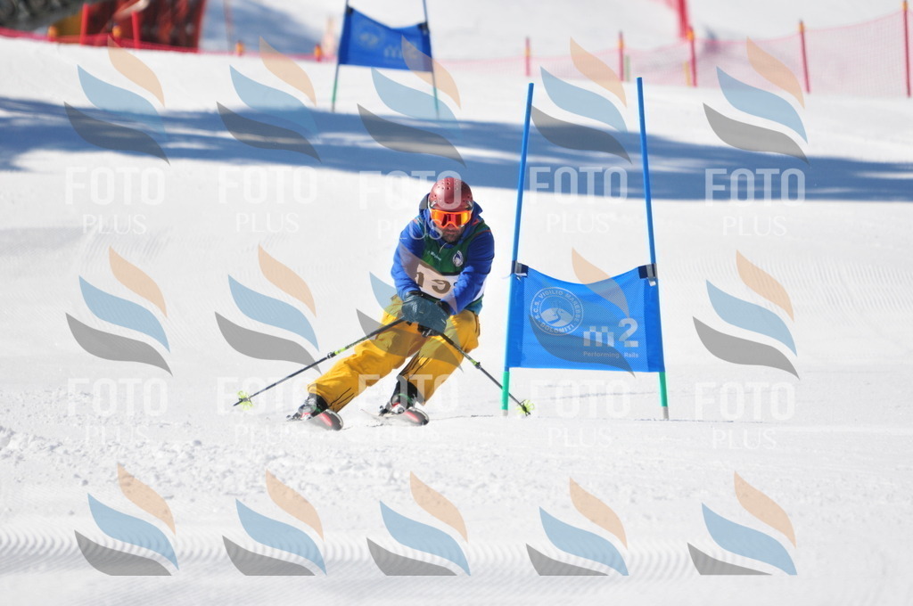 C4455 | holidayphoto