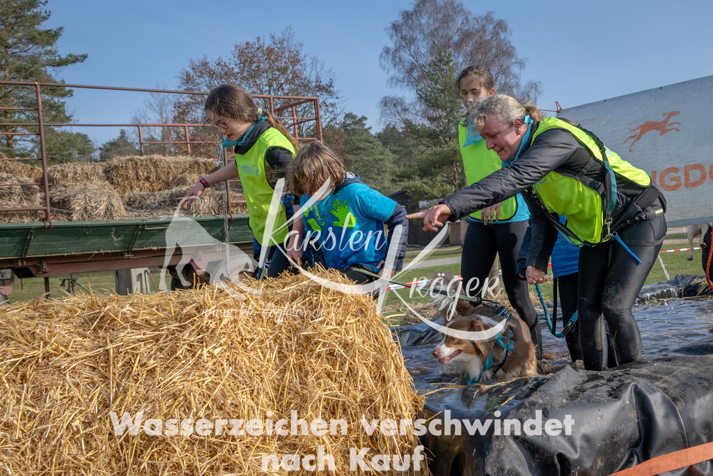 _ZZ91142 | kk-dogfotos
