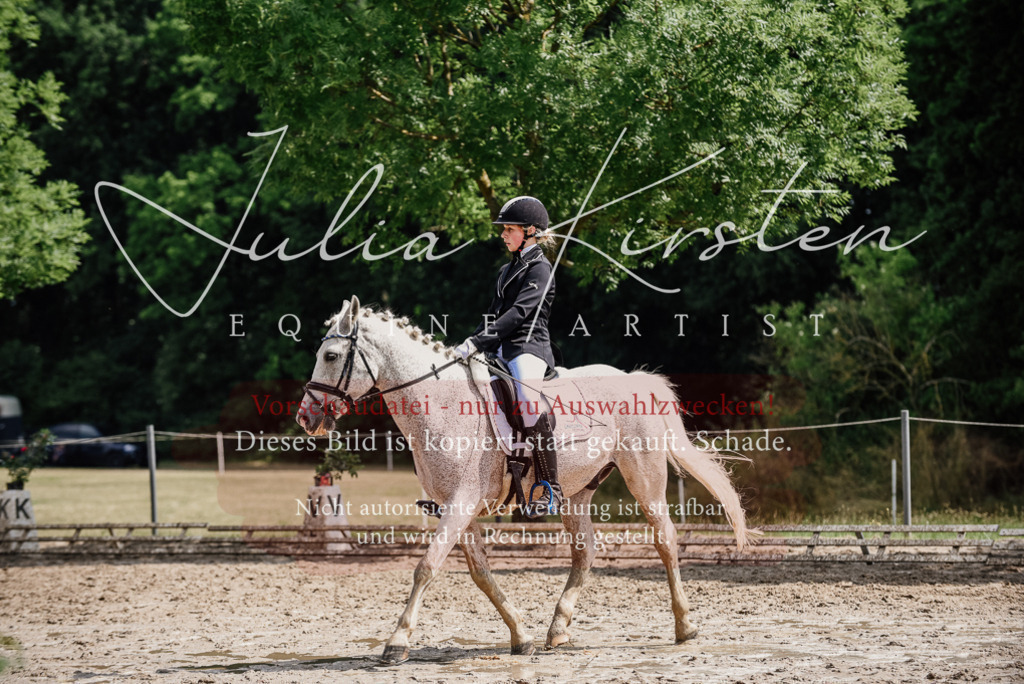 DSC_0550 | Pferde- und Turnierfotografie in Westsachsen. Pferdeportraits, Auftragszeichnungen und intuitive Kunst.