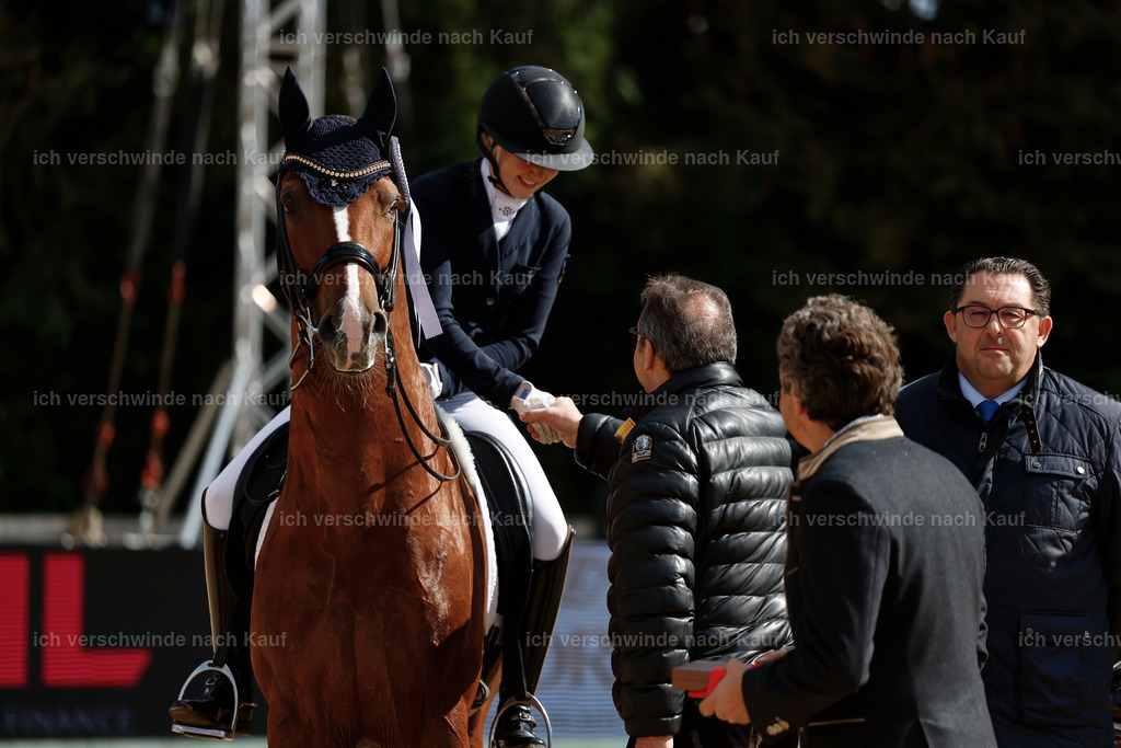 09_2-223-Dressur S__-StoibPH7093 | working equitationturnier fotograf videograf stoibphotography marixx film working equitation deutschland reitsport turnierfotografie eventfotografie equestrian events