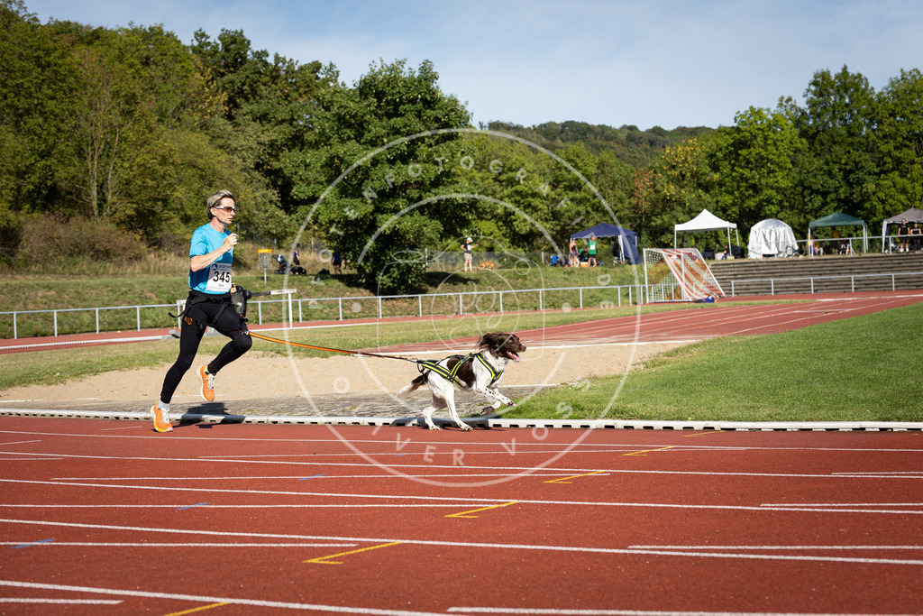 Pfotenfotografie_DV3A8433 | Hundefotografie, Tierfotograf, Pfotenfotografie, Fotoshooting Hund, Hunde Portrait, Hundesport, Hundeportraits, Heideshooting, Hunde, Sportfotograf, Hundefotograf, Turnierhundsport, THS,  - Realisiert mit Pictrs.com