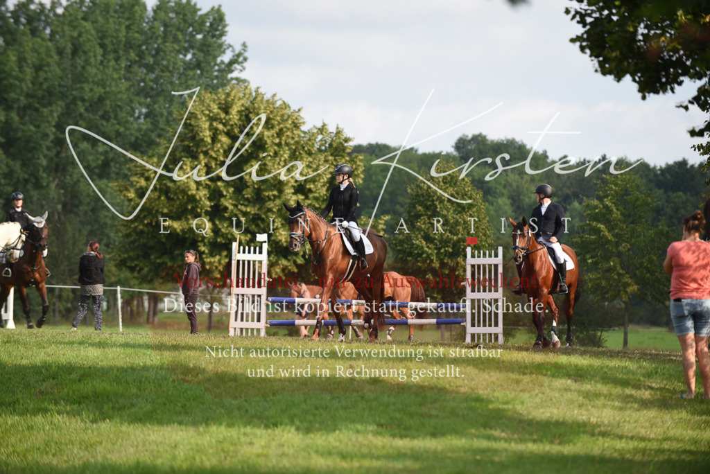 DSC_8613 | Pferde- und Turnierfotografie in Westsachsen. Pferdeportraits, Auftragszeichnungen und intuitive Kunst.