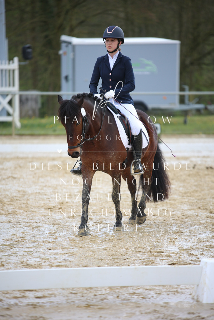 IMGT3815 | pl-fotografie