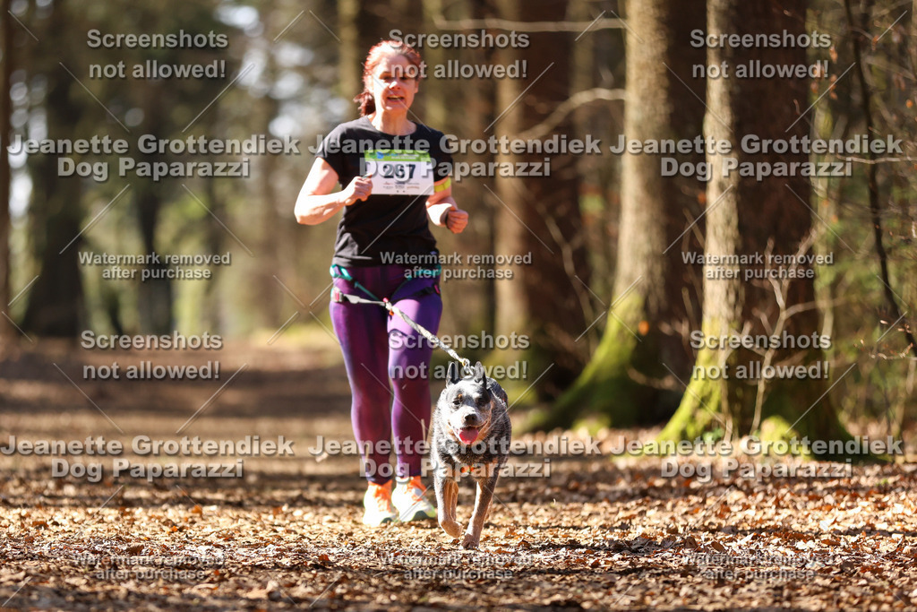 Dog Paparazzi - VCC26-1230 | Dog Paparazzi Jeanette Grottendiek Fotografie & Videografie - Realisiert mit Pictrs.com
