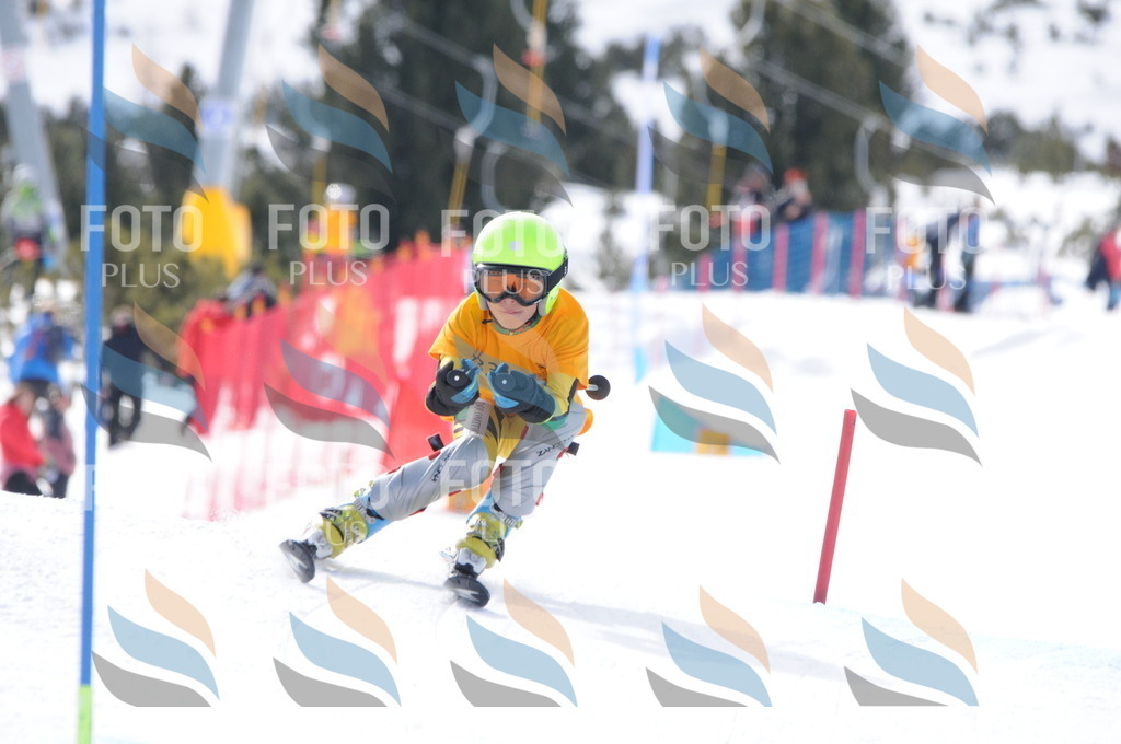 C7677 | holidayphoto