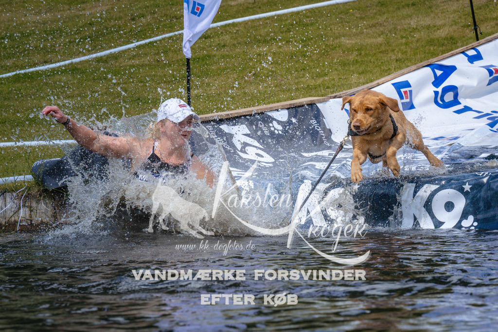 _ZZ991971051 | kk-dogfotos