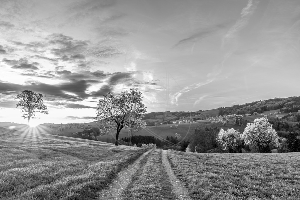 Mostviertel Schwarz Weiß | Ihre Fotografin im Lungau, ihre Fotografin im Mostviertel, Wandbilder Onlineshop, Imagefotos für Ihr Unternehmen,  - Realisiert mit Pictrs.com