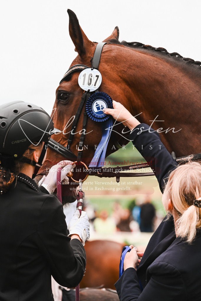 DSC_7464 | Pferde- und Turnierfotografie in Westsachsen. Pferdeportraits, Auftragszeichnungen und intuitive Kunst.